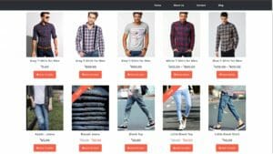 Read more about the article How to Create an eCommerce Website with WordPress – Online Store like Amazon and Flipkart 2017