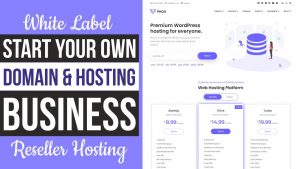 Read more about the article How to Start YOUR OWN Domain & Hosting Website & Business with WordPress & WHMCS – White Label Reseller Hosting